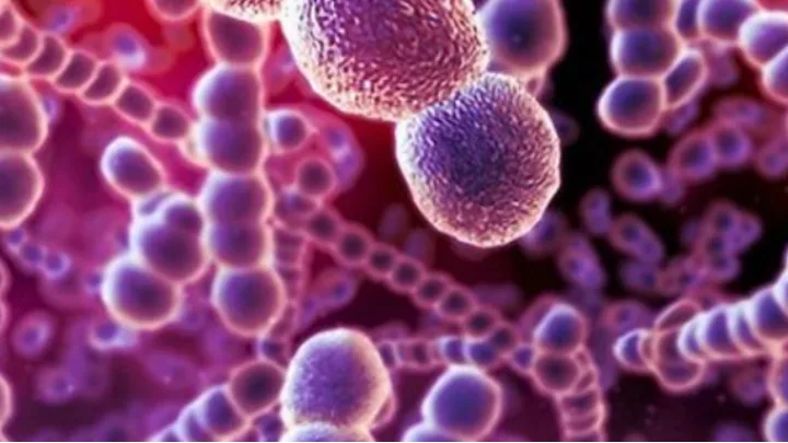 Τα ανθεκτικά βακτήρια κοστίζουν ακριβά σε ζωές και σε δαπάνες