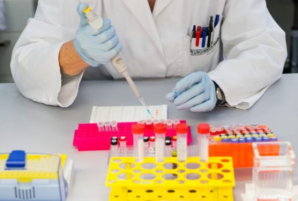 Βρετανοί δημιούργησαν για πρώτη φορά στο εργαστήριο μικρογραφία πλακούντα