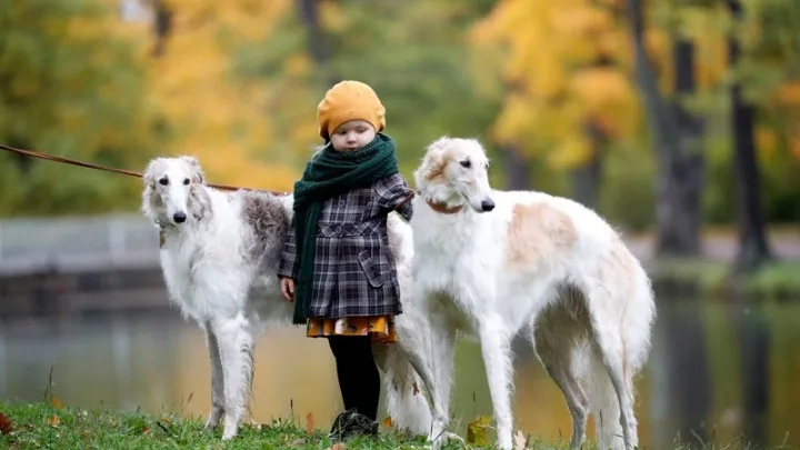 Κορονοϊός: Μπορούν τα κατοικίδια να κολλήσουν από τους ιδιοκτήτες;