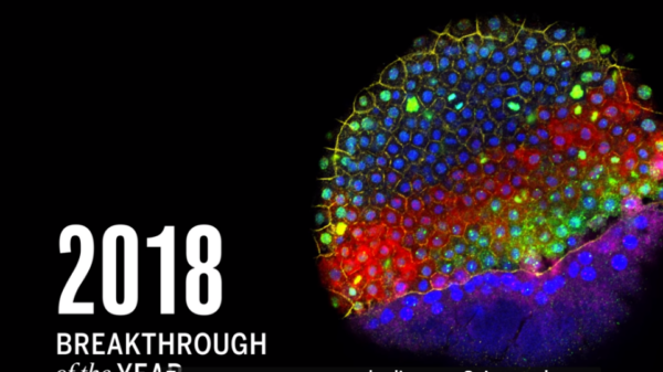Ποιά είναι τα σημαντικότερα επιστημονικά επιτεύγματα για το 2018