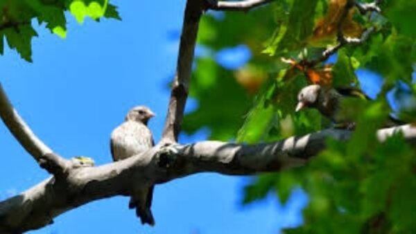 Εκπαιδευτικοί: Αίτημα συνάντησης με τον Γενικό Γραμματέα για την Περιβαλλοντική Εκπαίδευση