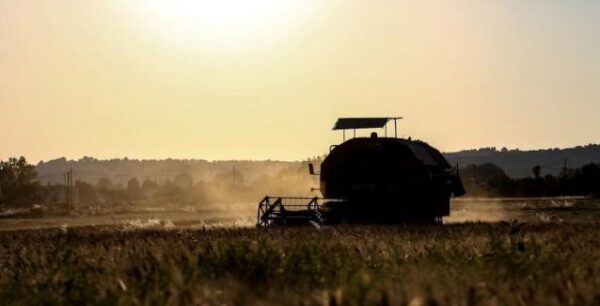 Πώς οι νέοι αγρότες μπορούν να γλιτώσουν από το καθεστώς ΦΠΑ