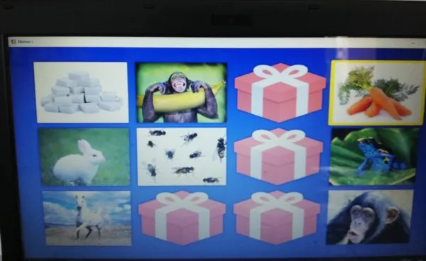 Ηλεκτρονικά παιχνίδια για τυφλά παιδιά, μία καινοτόμα εφαρμογή για όλους