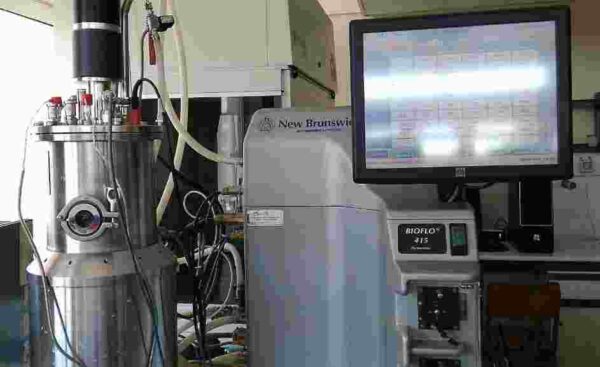 Καινοτομία: Καλλιέργεια φαρμακευτικών μανιταριών από το ΤΕΙ Θεσσαλίας