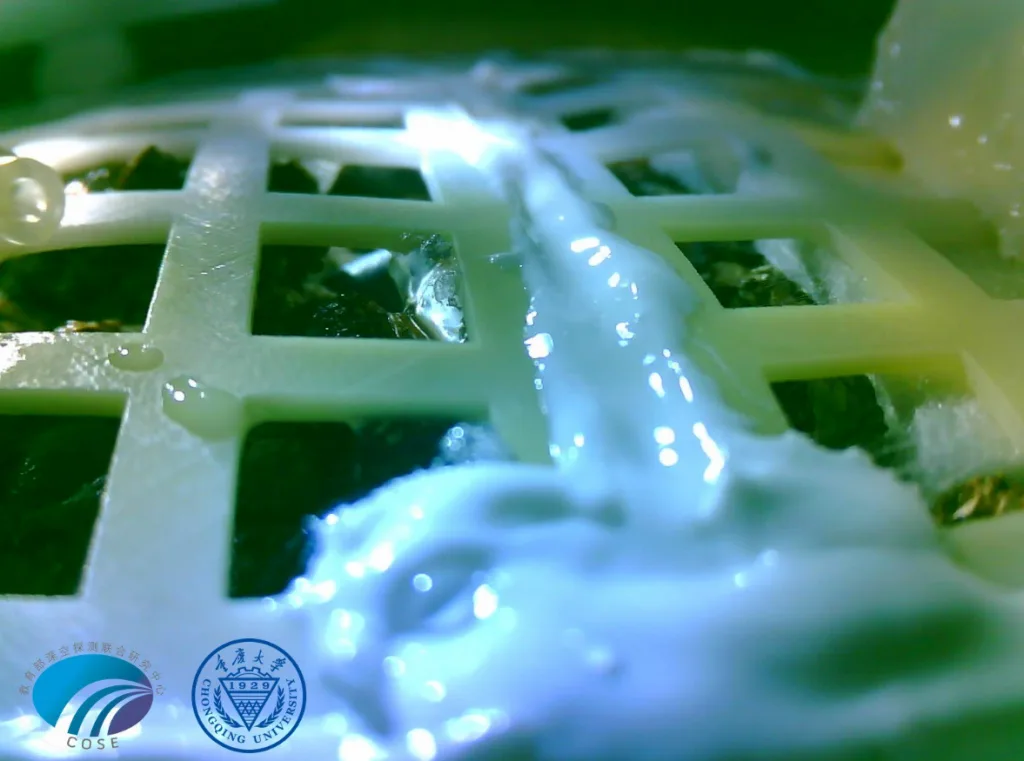 Πέθαναν λόγω του κρύου τα πρώτα κινεζικά φυτά που βλάστησαν στο φεγγάρι