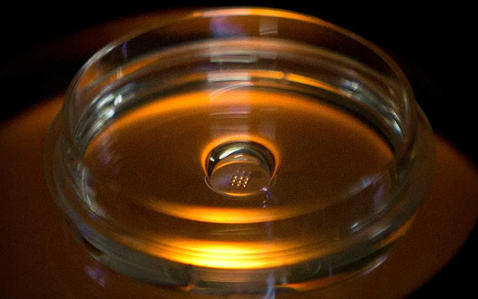 Επιστήμονες ανοίγουν νέους ορίζοντες στην αντιμετώπιση σοβαρών τραυματισμών στον νωτιαίο μυελό