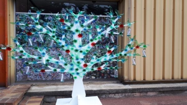 Πρωταθλητές στην ανακύκλωση οι μαθητές του Ν.Τομέα Αθηνών