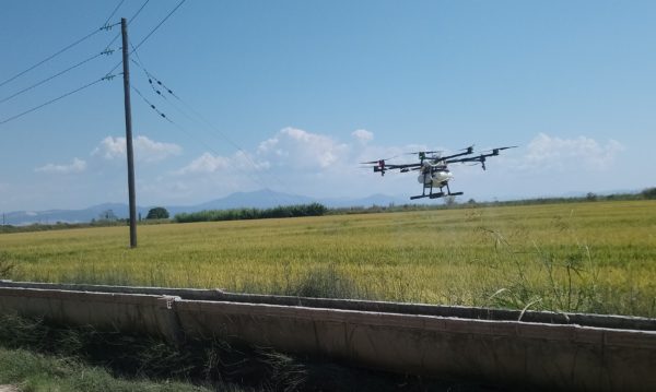 Θεσσαλονίκη: Τεχνητή νοημοσύνη, big data και drones στην υπηρεσία της καταπολέμησης των κουνουπιών