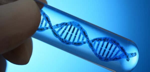 Έρευνα: Μετάλλαξη σε πρωτεΐνη του εγκεφάλου προκαλεί αυτιστική συμπεριφορά σε ποντίκια