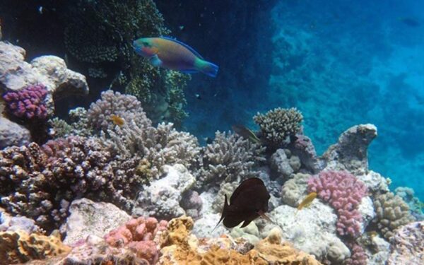 Ο Ατλαντικός πλαταίνει κάθε χρόνο 4 εκατοστά – Απομακρύνονται Ευρώπη, ΗΠΑ