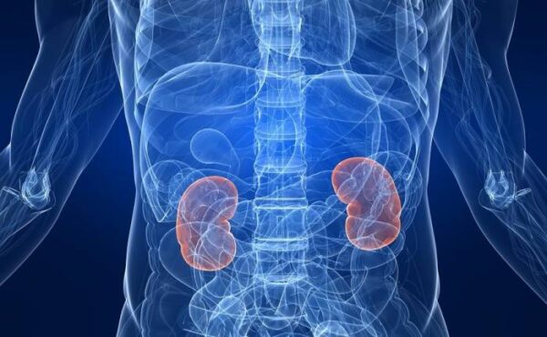 Δύο εκατομμύρια θάνατοι ετησίως εξαιτίας αδυναμίας για αιμοκάθαρση ή μεταμόσχευση νεφρού