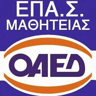 Πάνω από 60% η απορροφητικότητα των εκπαιδευμένων του Προγράμματος Διττής Εκπαίδευσης τεχνικών επαγγελμάτων που απορρόφησε η Ε.Ε.Σ.Σ.Τ.Υ. Α.Ε.