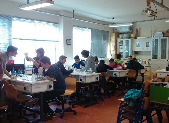 Ίδρυση δημόσιου ΙΕΚ στον Δήμο Ζίτσας