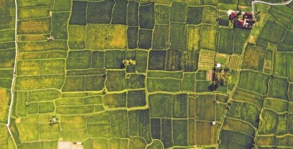 Δασικοί χάρτες: Απόφαση-ανάσα για τα νησιά