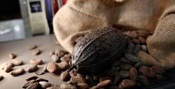 Αλαλούμ με τον ΦΠΑ: Κακάο στο 13% στο σουπερμάρκετ, στην καφετέρια 24%