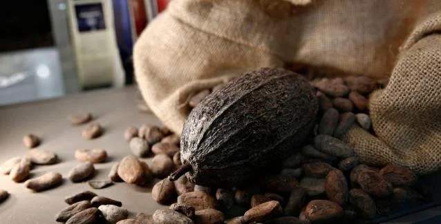 Αλαλούμ με τον ΦΠΑ: Κακάο στο 13% στο σουπερμάρκετ, στην καφετέρια 24%