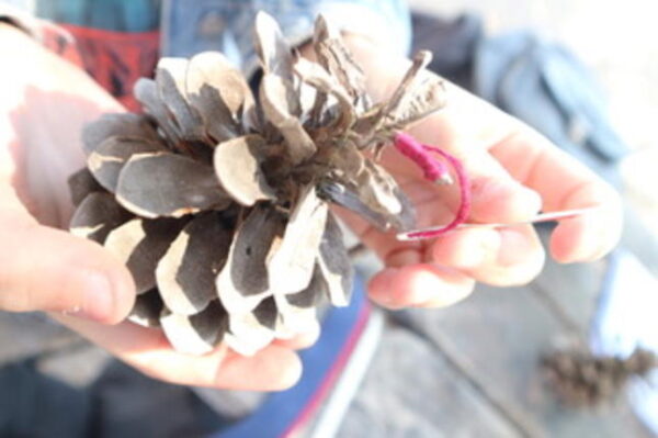 Μαθητές γυμνασίου δημιουργούν έργα τέχνης για τη γη