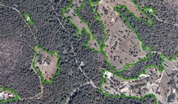 Αυτό είναι το νομοσχέδιο για τους δασικούς χάρτες