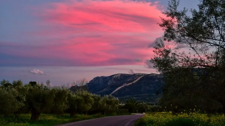 Σχεδόν 600 είδη φυτών έχουν εξαφανιστεί τα τελευταία 250 χρόνια
