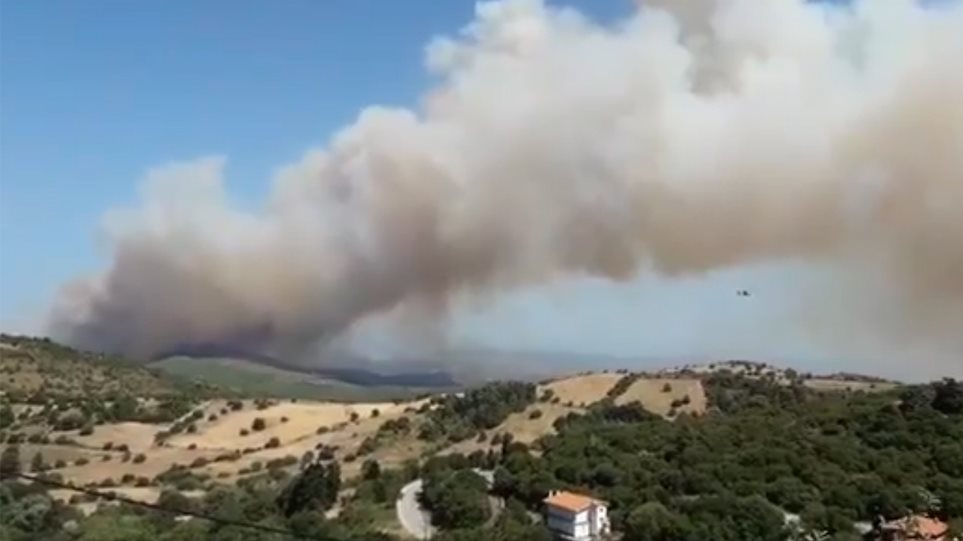 Εύβοια: Μεγάλη πυρκαγιά σε δασική έκταση - Εκκενώθηκε χωριό