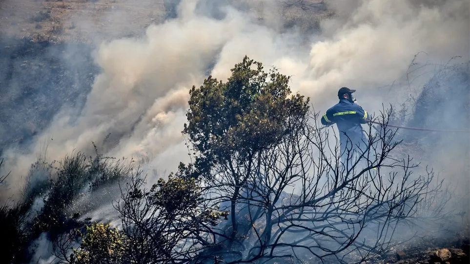 Νέα πυρκαγιά στην Αχαΐα