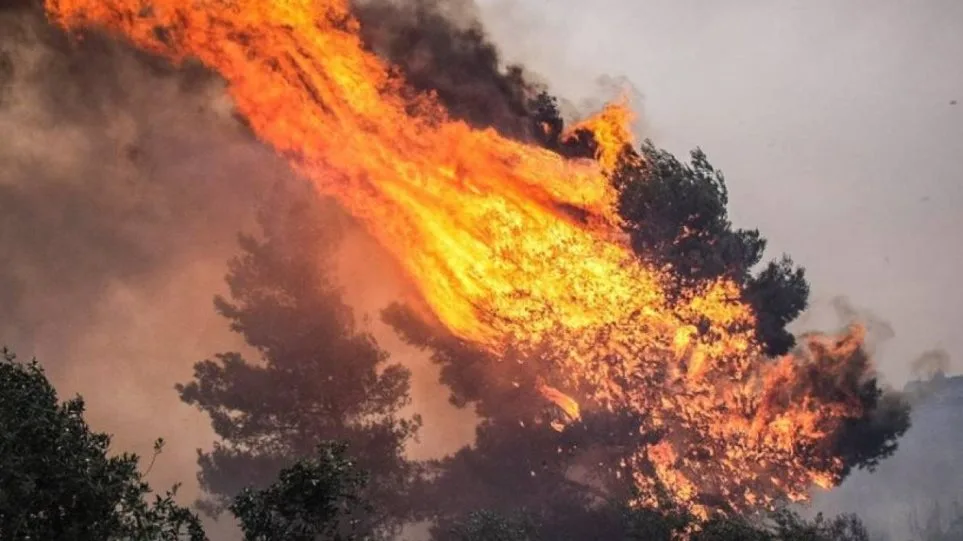 Φωτιά στην Εύβοια: «Όλα τα εναέρια μέσα τώρα στη Βόρεια Εύβοια!»