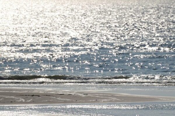 Κορωνοϊός -Δημόπουλος: Θάλασσες και πισίνες είναι ασφαλείς