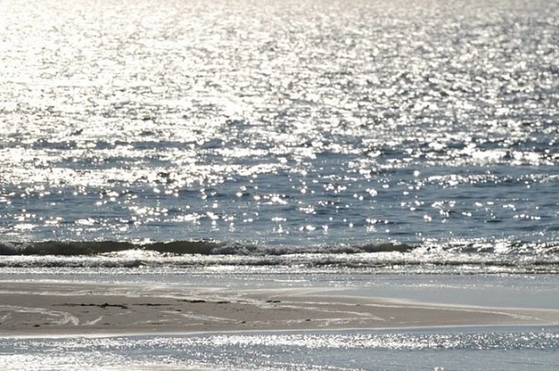 Κορωνοϊός -Δημόπουλος: Θάλασσες και πισίνες είναι ασφαλείς