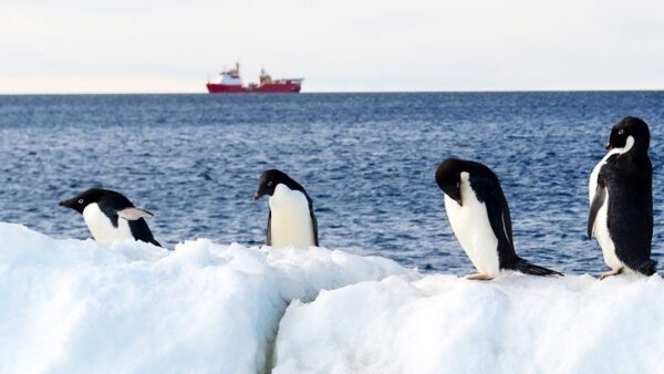 Οι πάγοι της Ανταρκτικής έχουν υποστεί δραματική συρρίκνωση μετά το 2014