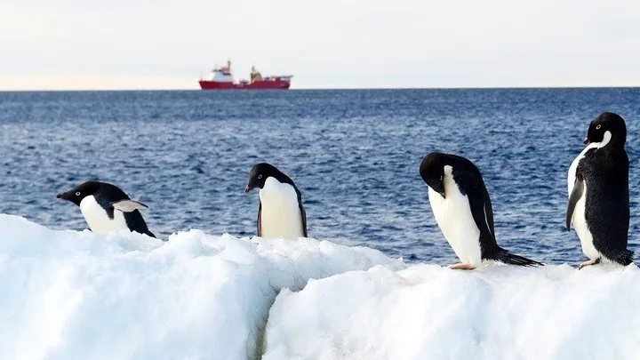 Οι πάγοι της Ανταρκτικής έχουν υποστεί δραματική συρρίκνωση μετά το 2014