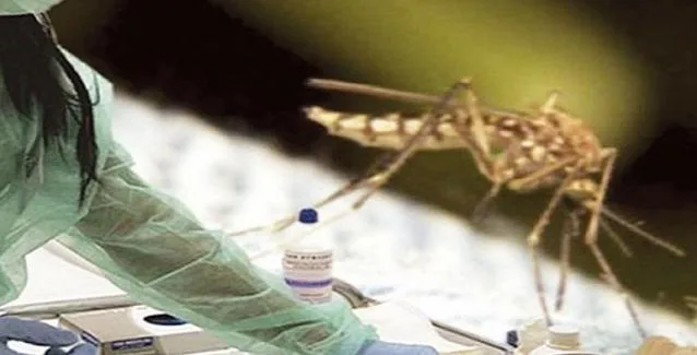 Ιατρικός Σύλλογος: Ανησυχία για νέα κρούσματα του ιού του Δυτικού Νείλου στην Ελλάδα