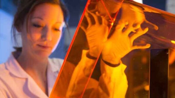 Διεθνές βραβείο για επιστημονική ομάδα με επικεφαλής το Πανεπιστήμιο Δυτικής Μακεδονίας