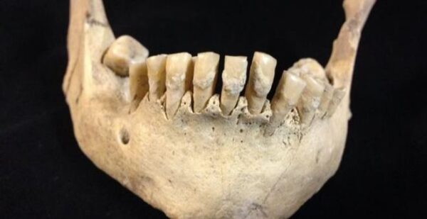 Βρετανία: Οι αρχαιότερες ενδείξεις κατανάλωσης γάλακτος πριν 6.000 χρόνια