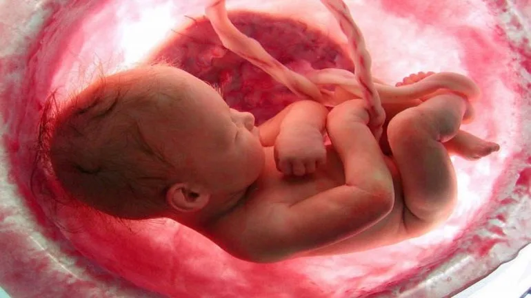 Έρευνα: Τα βρέφη όσο βρίσκονται στη μήτρα έχουν ορισμένους επιπλέον σαυροειδείς μυς στα χέρια