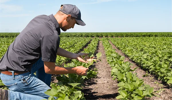 Αγρότες: Ποιοί γλιτώνουν από τα ηλεκτρονικά βιβλία της Εφορίας το 2020