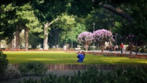 Οι αστικοί χώροι πρασίνου μπορούν να λειτουργήσουν προληπτικά απέναντι στους πρόωρους θανάτους