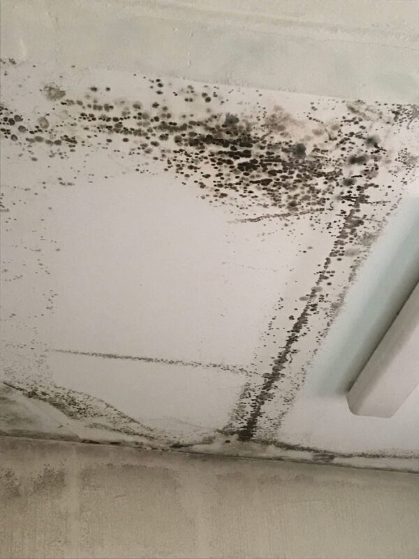 Τα κτηριακά προβλήματα σε σχολεία της Ν. Ιωνίας!