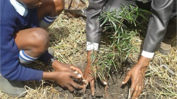 Καινοτόμα εφαρμογή σβήνει το ανθρακικό αποτύπωμα των ταξιδιών