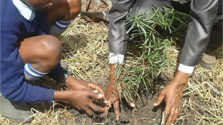 Καινοτόμα εφαρμογή σβήνει το ανθρακικό αποτύπωμα των ταξιδιών