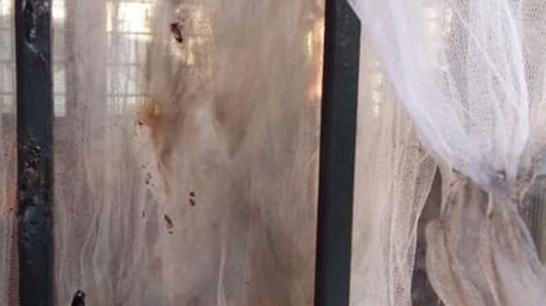 Θεσσαλονίκη: Άγνωστοι προκάλεσαν ζημιές σε νηπιαγωγείο