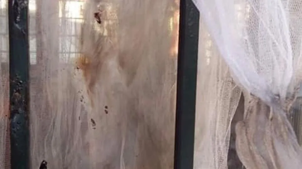 Θεσσαλονίκη: Άγνωστοι προκάλεσαν ζημιές σε νηπιαγωγείο