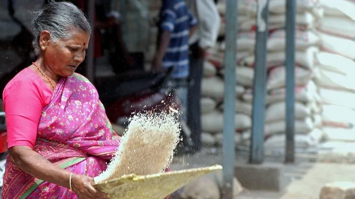 Διαβάστηκε πλήρως το DNA του ρυζιού μπασμάτι