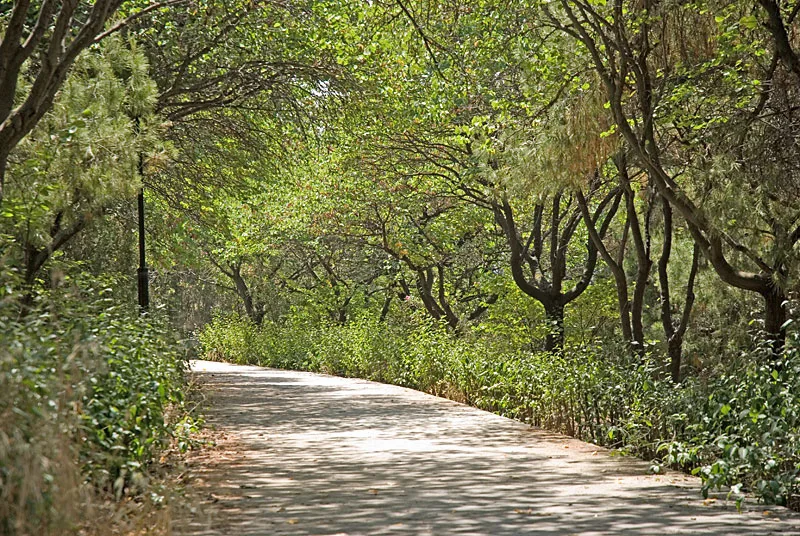 Κορωνοϊός – Αττική: Κλείνουν πάρκα, άλση και οι είσοδοι πρόσβασης στον Υμηττό