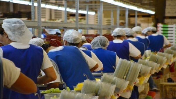 Υπουργείο Ανάπτυξης: Δράσεις για βιομηχανία-μεταποίηση