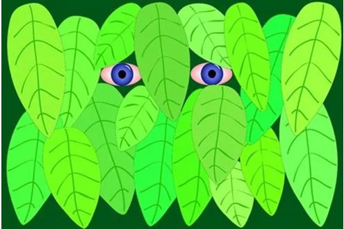 «Με το βλέμμα μόνο στις κάμερες μένουν αόρατοι οι μεγαλύτεροι κίνδυνοι για την Παιδεία»