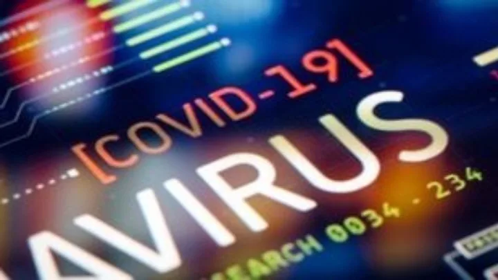 Πότε και πώς τελειώνει μια πανδημία;