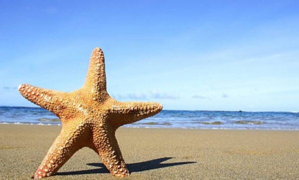 Τουρισμός για Όλους- Αιτήσεις: ΝΕΑ ημερομηνία στο tourism4all.gov.gr – Οι φετινές αλλαγές