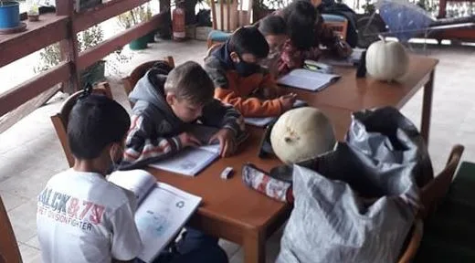 Τηλεκπαίδευση: Μαθητές στην Ηλεία χωρίς ίντερνετ κάνουν μάθημα σε αυλή καφενείου