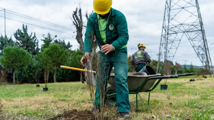 Αριστοτέλειο Πανεπιστήμιο: Έφτιαξε φαινολογικός κήπο για την Κλιματική Αλλαγή