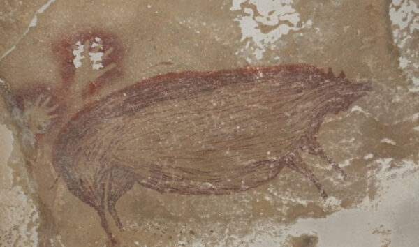 Ανακαλύφθηκε στην Ινδονησία η αρχαιότερη σπηλαιογραφία ζώου στον κόσμο